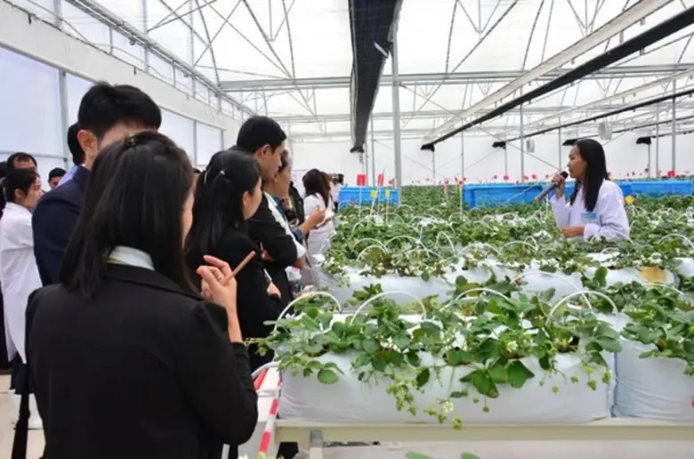 น้อมนำพระราชดำริ เผยแพร่สู่เยาวชนนักศึกษา