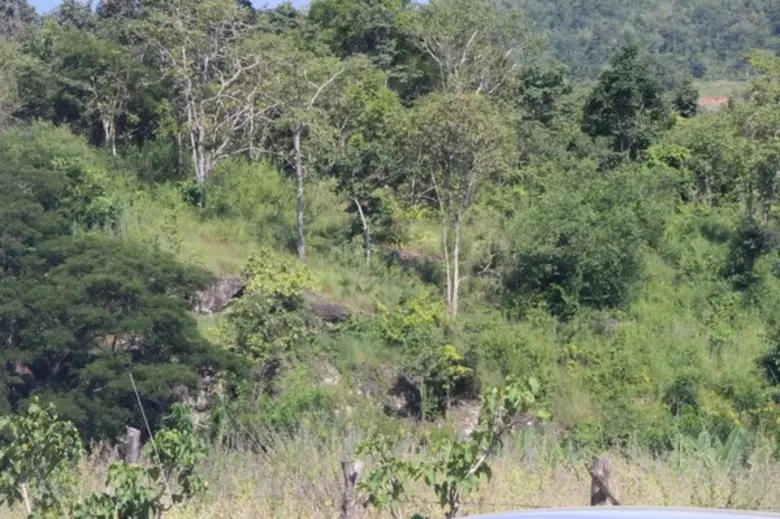 อ่างเก็บน้ำแม่ฮอดอันเนื่องมาจากพระราชดำริ ฝันที่กำลังเป็นจริงของราษฎร