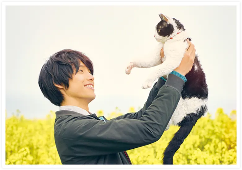 Movie Guide: เปิดโปรไฟล์ เจ้าเหมียว “นานะ” แมวจอมหยิ่ง จาก The Travelling Cat Chronicles ผ่านการออดิชั่นจากแมวนักแสดงนับ 100 ตัว