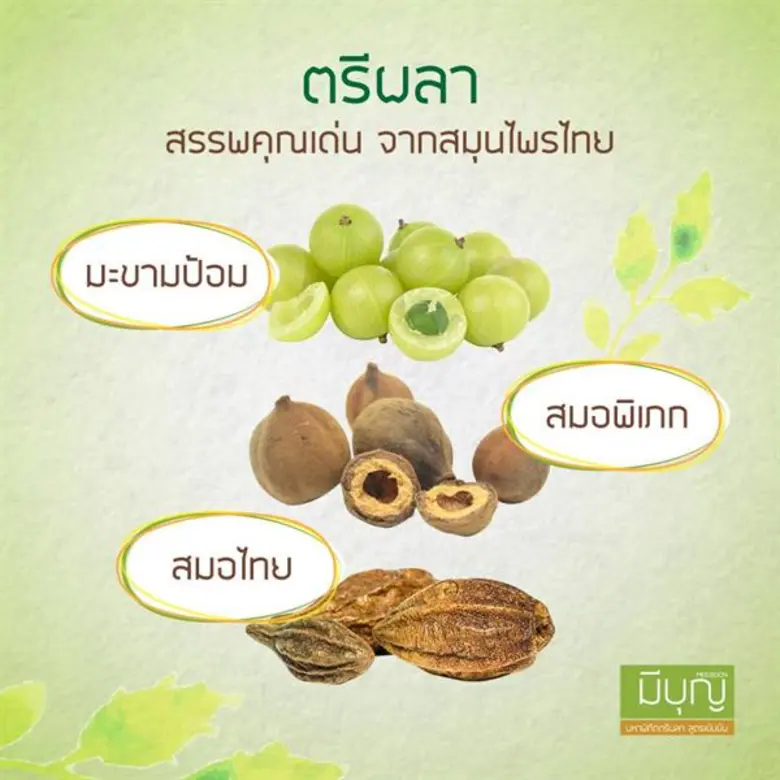 “ตรีผลา” ราชาแห่งการปรับสมดุลธาตุและการล้างพิษ “เจ้าแม่สมุนไพร” มุ่ย-สลิลาพร ไขความลับสุขภาพดีจากพืชธรรมชาติ