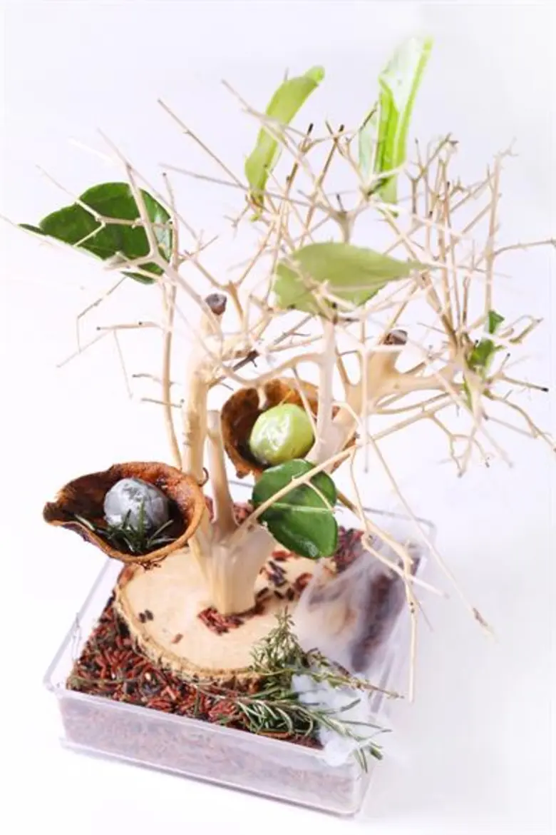 ลิ้มรสอาหารสเปน เสพย์กลิ่นอาย ด้วยเซ็ทเมนูสุดพิเศษ ณ ห้องอาหารอูโนมาส