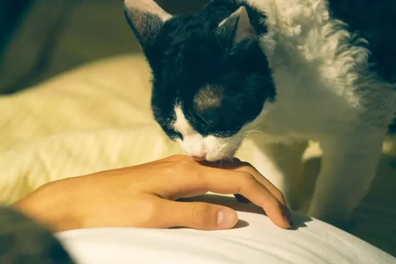 จากกระแสความประทับใจที่เรียกน้ำตาผู้ชมทั่...