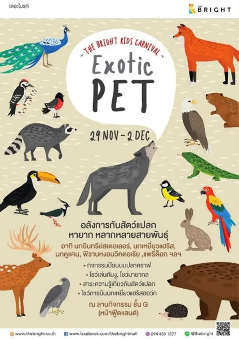 เปิดประสบการณ์ครั้งใหม่ เอาใจน้องๆ หนูๆ และเหล่าคนร...