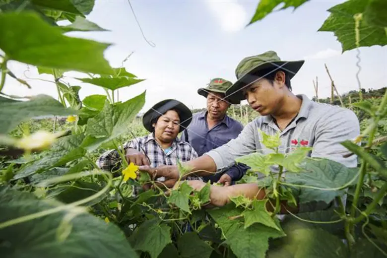 ครั้งแรกของการจัดอันดับดัชนีการเข้าถึงเมล...