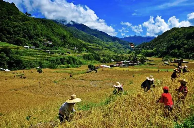 อีสท์ เวสท์ ซีด คว้าตำแหน่งผู้นำอุตสาหกรรมเมล็ดพันธุ์ด้านการเพิ่มผลผลิตให้กับเกษตรกรรายย่อย ในภูมิภาคเอเชียใต้และเอเชียตะวันออกเฉียงใต้