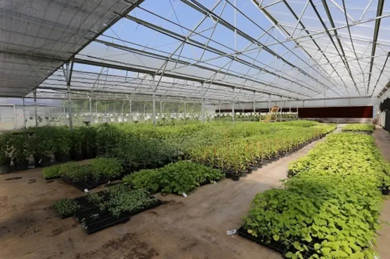 เคาท์ดาวน์รับลมหนาว เตรียมลุย..เทศกาลแห่งความสุข “เจียไต๋ แฟร์ FARMNIVAL..ฟาร์ม นี้ ว้าว!”