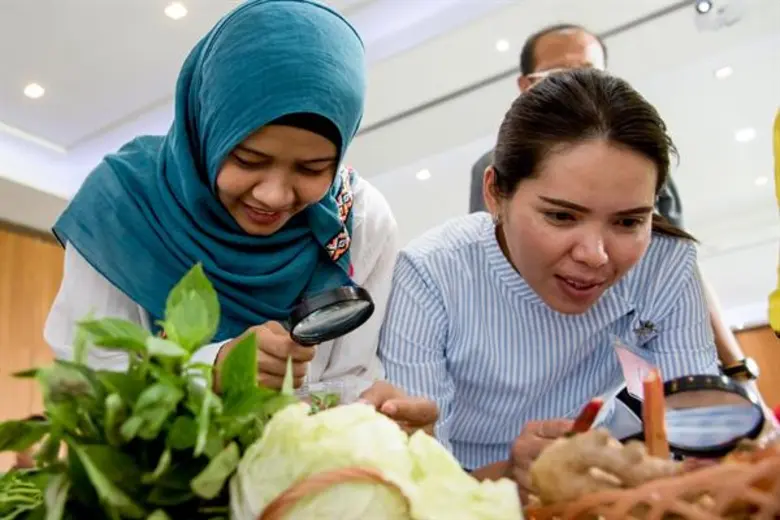 การเรียนรู้ตามธรรมชาติที่ก่อให้เกิดทักษะแ...