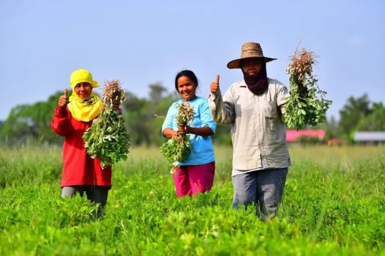 กฟก. แหล่งข่าวกระทรวงเกษตรและสหกรณ์	