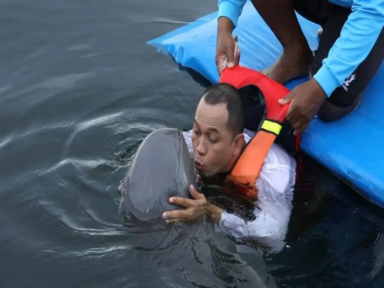 ทีวีไกด์: รายการ “อึ้ง ทึ่ง เสียว” “สมจิตร จงจอหอ” สุดฟิน! ตื่นตากับโลมาเทรนเนอร์แสนรู้