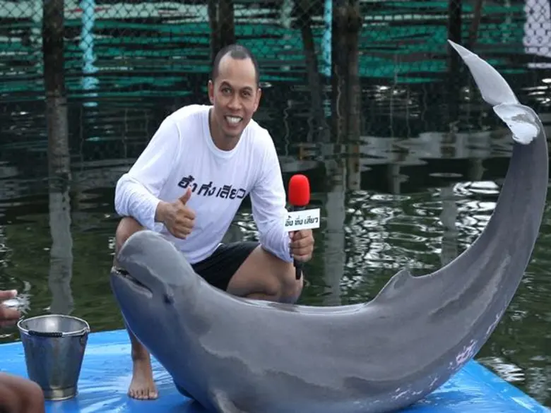 ทีวีไกด์: รายการ “อึ้ง ทึ่ง เสียว” “สมจิตร จงจอหอ” สุดฟิน! ตื่นตากับโลมาเทรนเนอร์แสนรู้