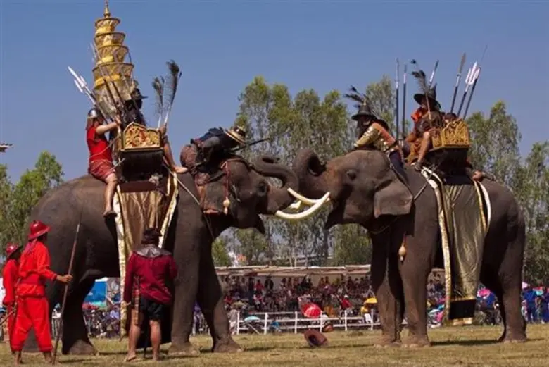 งานแสดงช้างจังหวัดสุรินทร์ ประจำปี 2561 อ...