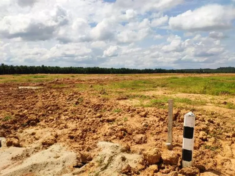 เมื่อวันอังคารที่ 13 พฤศจิกายน 2561 เวลา1...