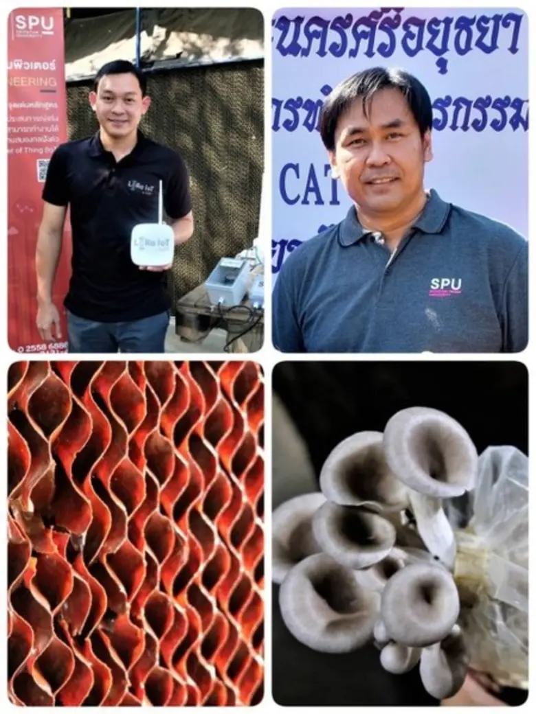 CAT ส่งโครงข่าย LoRaWAN ขับเคลื่อนอุปกรณ์ IoT เพาะบ่ม “เห็ดเศรษฐกิจ” ผลผลิตงอกเงย ในรูปแบบ Smart Farm