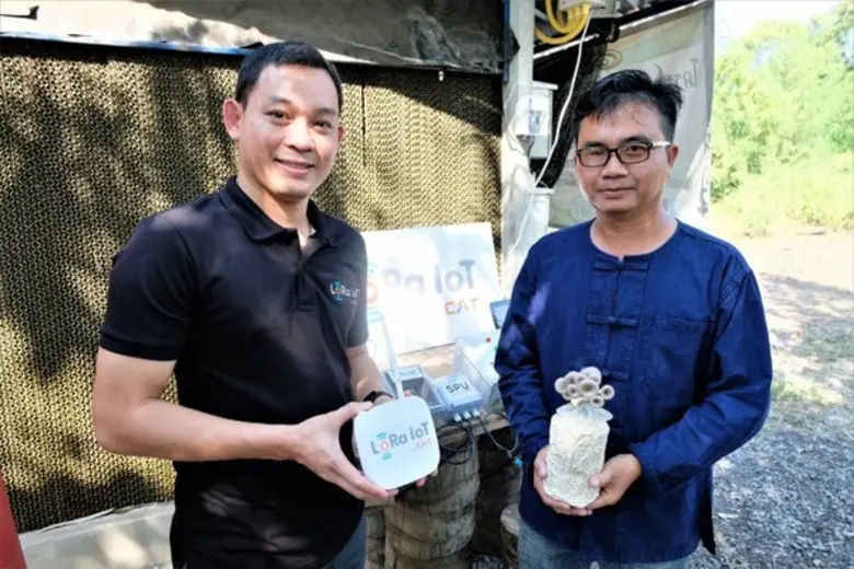 CAT ส่งโครงข่าย LoRaWAN ขับเคลื่อนอุปกรณ์ IoT เพาะบ่ม “เห็ดเศรษฐกิจ” ผลผลิตงอกเงย ในรูปแบบ Smart Farm