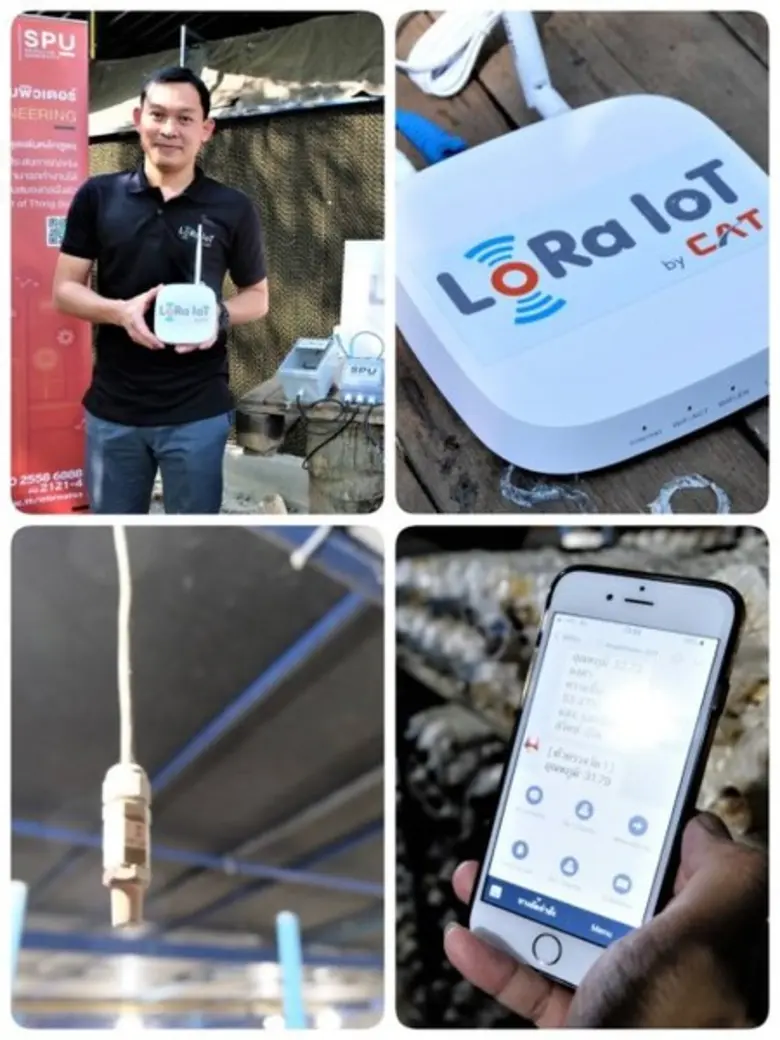CAT ส่งโครงข่าย LoRaWAN ขับเคลื่อนอุปกรณ์ IoT เพาะบ่ม “เห็ดเศรษฐกิจ” ผลผลิตงอกเงย ในรูปแบบ Smart Farm
