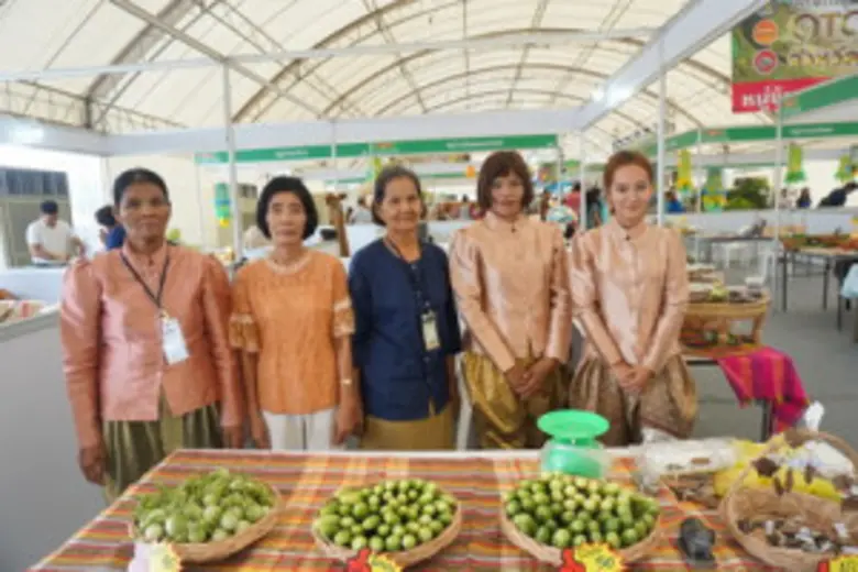 บ้านหัวเมือง หมู่ที่ 1 ตำบลจักรสีห์ , บ้า...