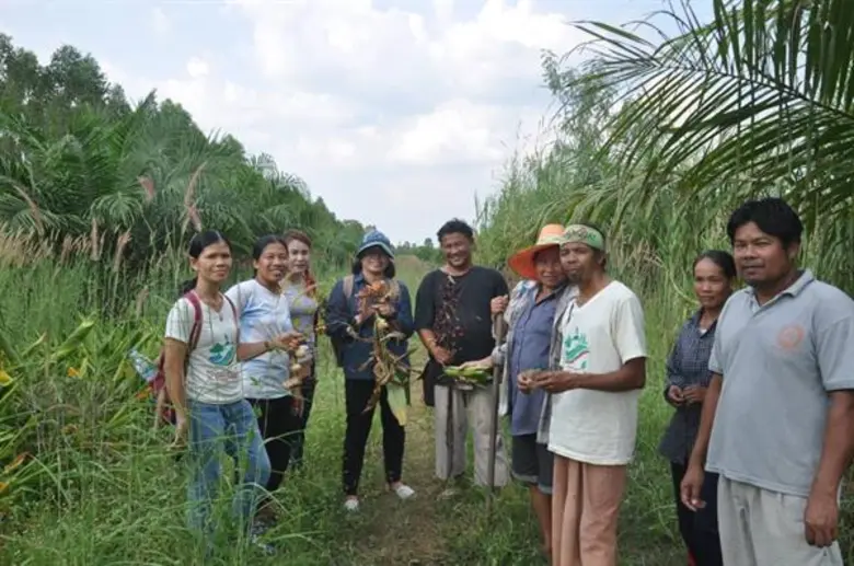 เมื่อวันที่ 17–18 พฤศจิกายน 2561 สำนักงาน...