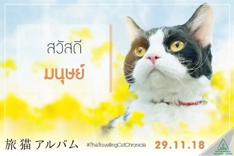 ลิงค์สกู๊ป "สวัสดีมนุษย์ " https://youtu....