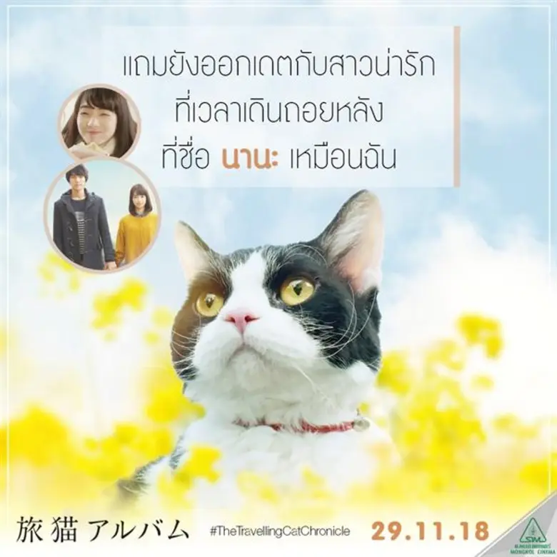 รู้จักเจ้าเหมียว “นานะ” แมวหน้าหยิ่ง และ “ ซาโตรุ “ เจ้าทาสก่อนไปดู The Travelling Cat Chronicles ผมแมวและการเดินทางของเรา