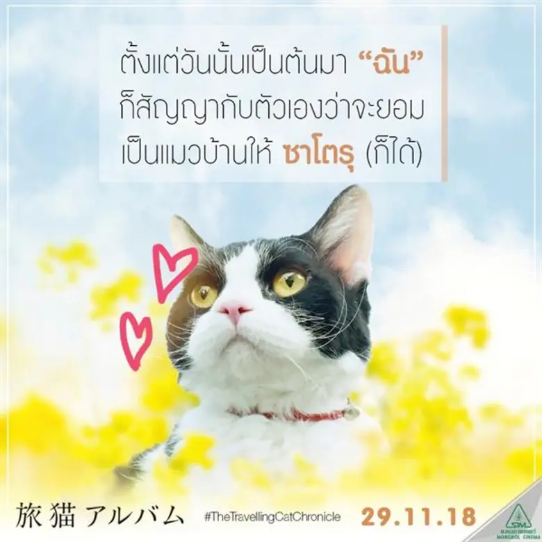 รู้จักเจ้าเหมียว “นานะ” แมวหน้าหยิ่ง และ “ ซาโตรุ “ เจ้าทาสก่อนไปดู The Travelling Cat Chronicles ผมแมวและการเดินทางของเรา