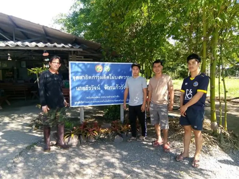 ไผ่บงหวาน พืชทางเลือกที่น่าจับตา ดูแลง่าย รายได้งาม ให้ผลตอบแทนหลัก 6 หมื่นบาท