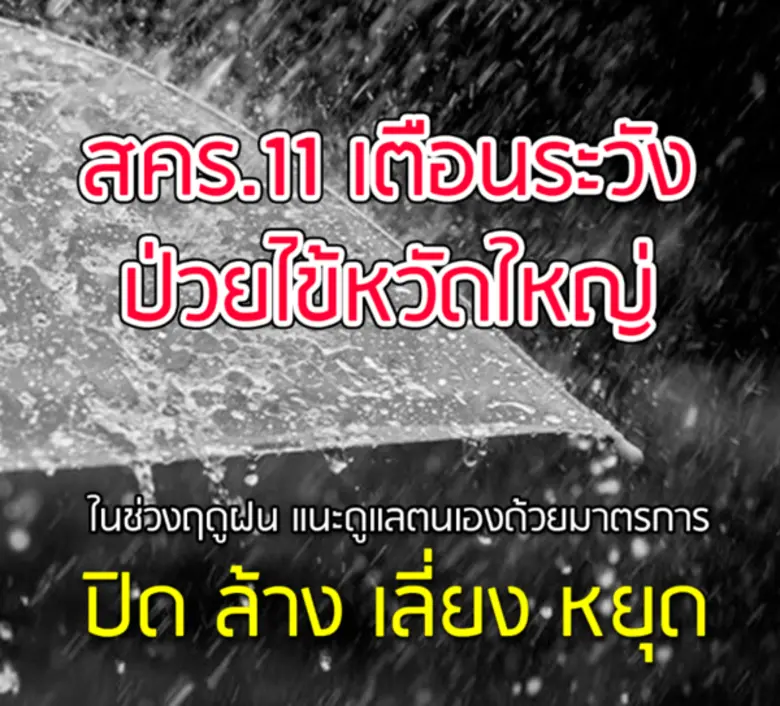สคร.11 เตือนระวังป่วยไข้หวัดใหญ่ ในช่วงฤด...