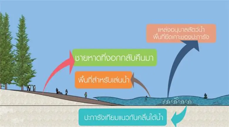 ประเทศไทยมีชายฝั่งทะเลยาวประมาณ 3,148.23 ...