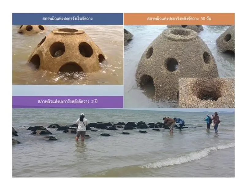“ปะการังเทียมจากเถ้าถ่านหินช่วยแก้ปัญหาการกัดเซาะชายฝั่งทะเลภาคใต้ได้อย่างไร”