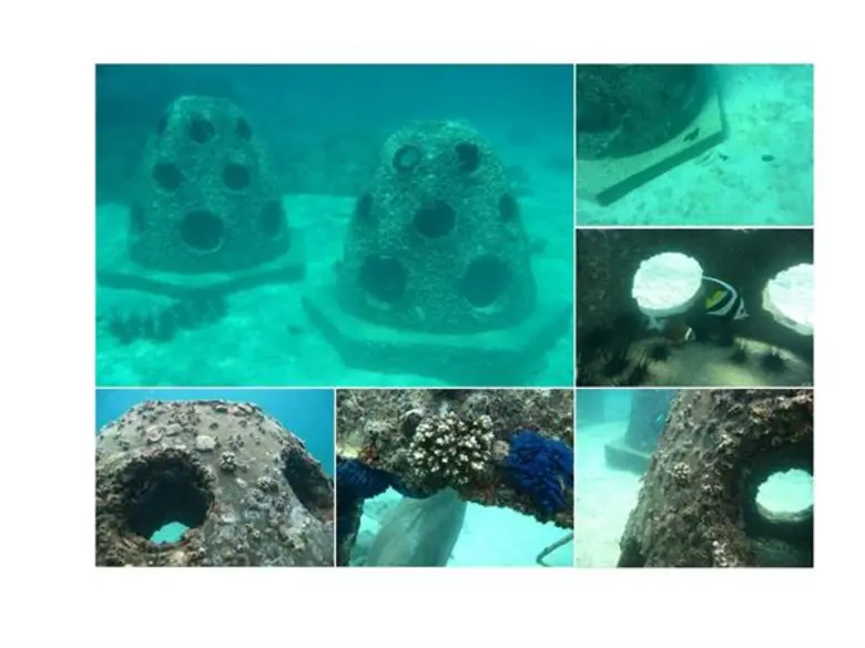 “ปะการังเทียมจากเถ้าถ่านหินช่วยแก้ปัญหาการกัดเซาะชายฝั่งทะเลภาคใต้ได้อย่างไร”