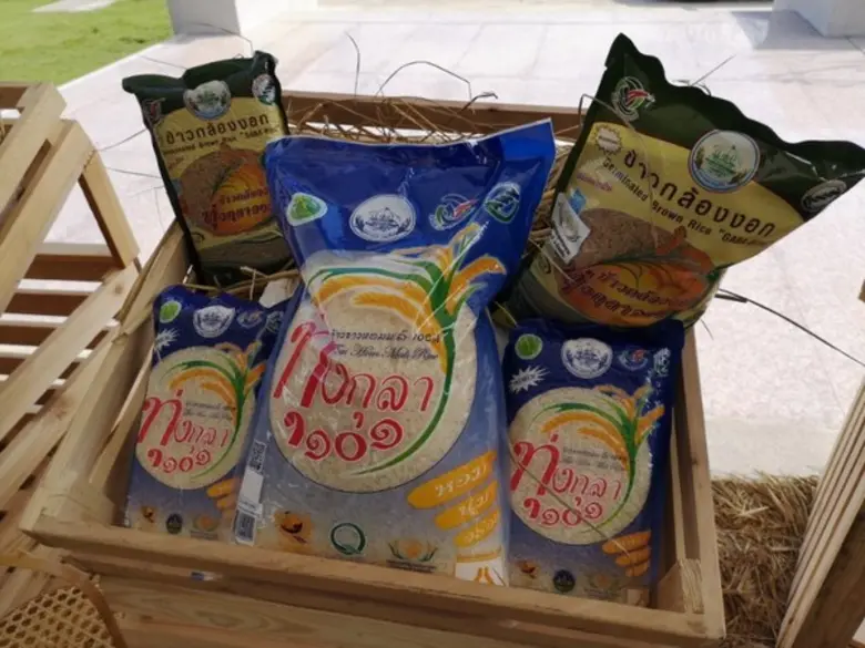 งานข้าวหอมมะลิโลกเมืองร้อยเอ็ดปี 61 ยกระดับสู่ Rice Expo เงินสะพัดหมื่นล้าน