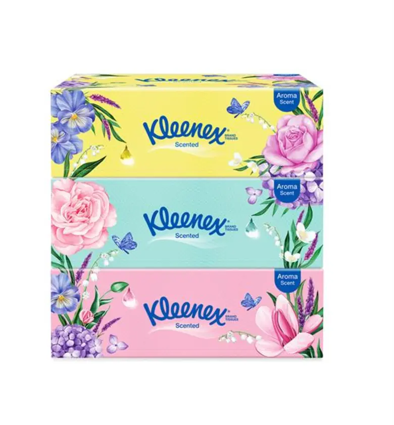 บริษัท คิมเบอร์ลี่ย์-คล๊าค ประเทศไทย จำกั...