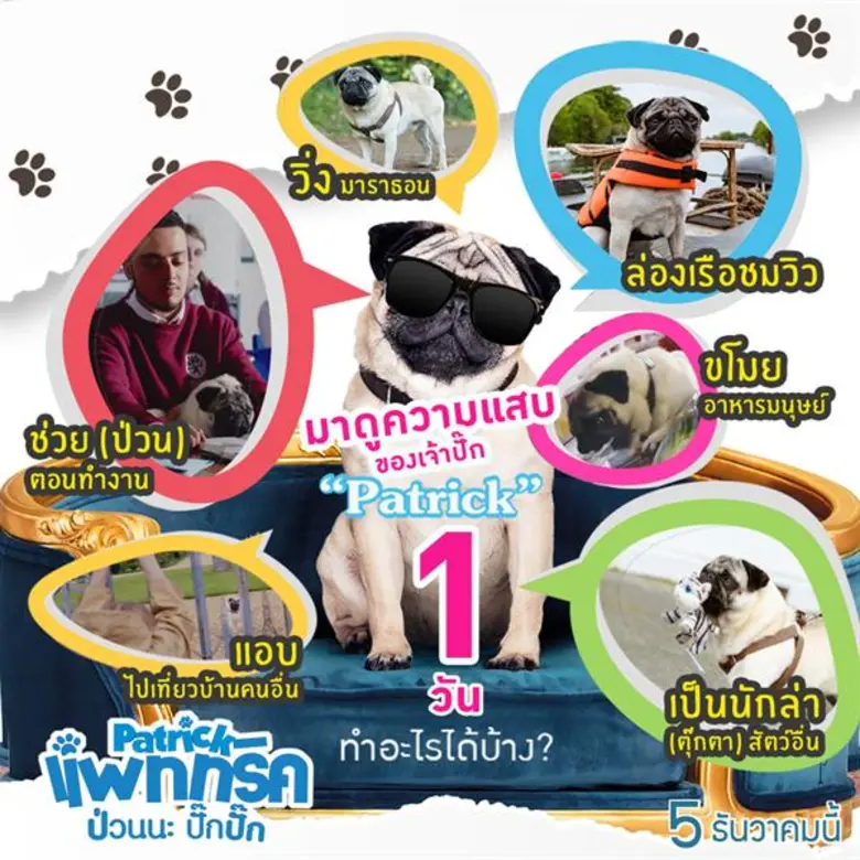 Movie Guide: มีใครให้ป่วนกว่านี้มั้ย! มาดูความแสบของ เจ้าปั๊ก “Patrick” 1 วันทำอะไรได้บ้าง?