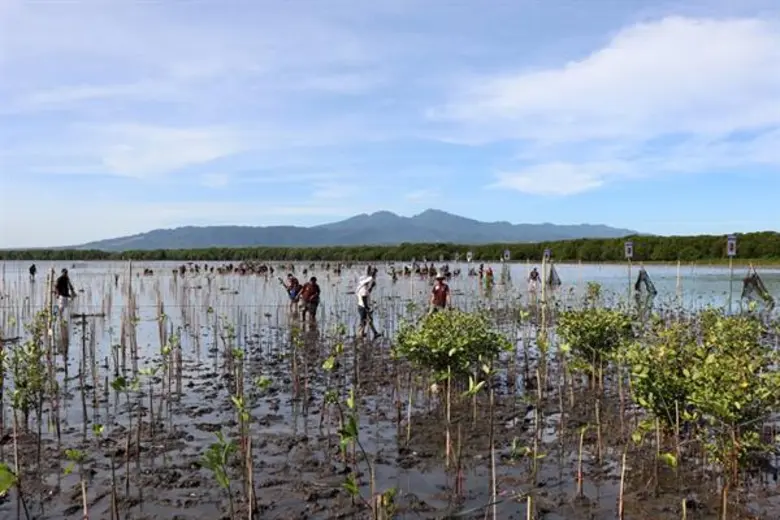 ซีพีเอฟฟิลิปปินส์ อนุรักษ์และฟื้นฟูป่าชายเลนโครงการ “Plant Today, Reap Tomorrow” ต่อเนื่องปีที่ 5