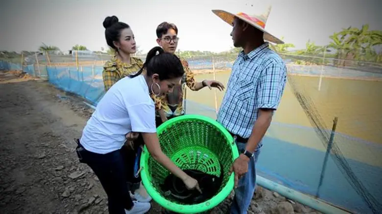 ทีวีไกด์: รายการ “ครัวลั่นทุ่ง” “ใบเตย” ยอมสงบศึก “จูน” ควงคู่โชว์ฝีมือทำอาหารจานเด็ด