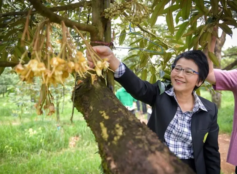 นางสาวจูอะดี พงศ์มณีรัตน์ เลขาธิการสำนักง...