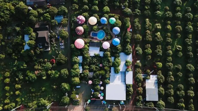 ฝรั่งหัวใจไทย "แดเนียล เฟรเซอร์" ชวมสัมผั...