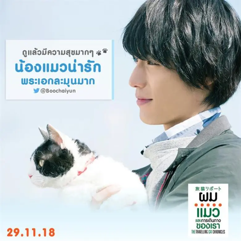 Movie Guide: The Travelling Cat Chronicles ผมแมวและการเดินทางของเรากระแสซึ้งโดนใจคนไทย เรียกน้ำตา คนดูท่วมโรง