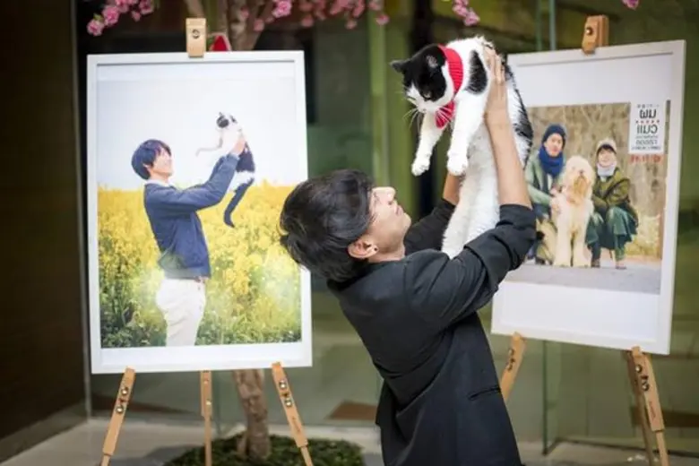 Movie Guide: ครั้งแรกในไทย มงคลซีนีม่า ร่วมกับ โรงภาพยนตร์ เฮ้าส์ อาร์ ซีเอ ปิดโรงพาน้องแมวมาดูหนังแมวเรียกน้ำตา The Travelling Cat Chronicles ผมแมวและการเดินทางของเรา