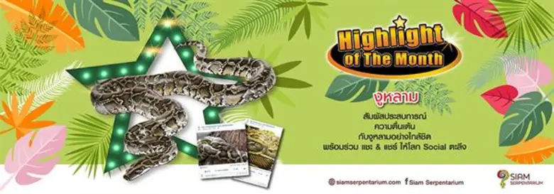 สยาม เซอร์เพนทาเรียม ศูนย์การเรียนรู้ชีวิ...