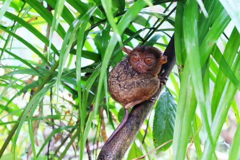 สัปดาห์นี้หรรษาแน่นอน เมื่อกูรูท่องเที่ยว...