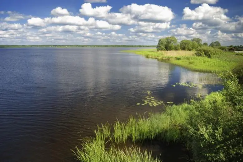 ดาว ประกาศเดินหน้าแนวทางสนับสนุนการแก้ปัญหาขยะพลาสติก