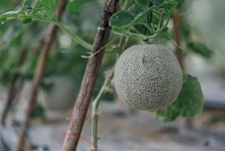 เที่ยวง่ายๆไม่ต้องรอวันหยุดยาว! ทริปทูเคล...