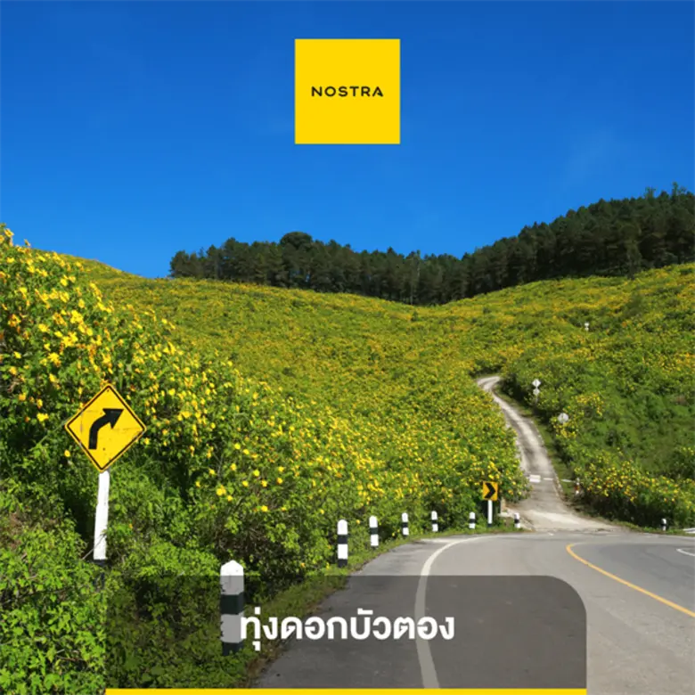 นอสตร้า (NOSTRA) แผนที่ดิจิทัลครบวงจร ละเ...