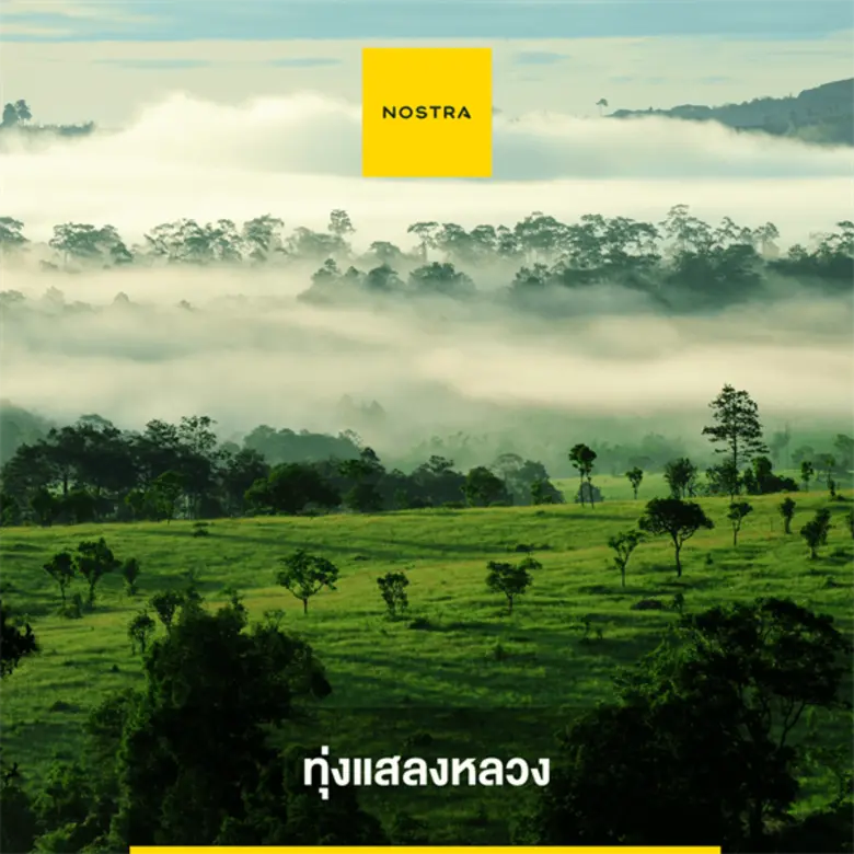 บ้านจ๋าขอลาก่อน นอสตร้าแนะนำ แผนที่ 12 จุดเที่ยวรับลมเย็น