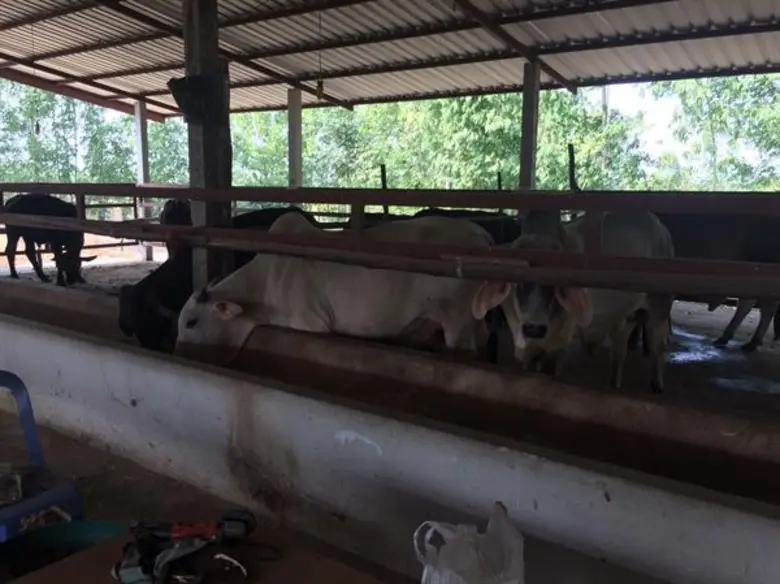 นางอัญชนา ตราโช รองเลขาธิการสำนักงานเศรษฐ...