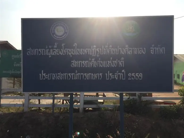 ผลสำเร็จกองทุน FTA ทุ่ม 25 ล้าน ยกระดับโคเนื้อ-โคขุน หนุนสหกรณ์ผู้เลี้ยงโคขุนปางศิลาทอง