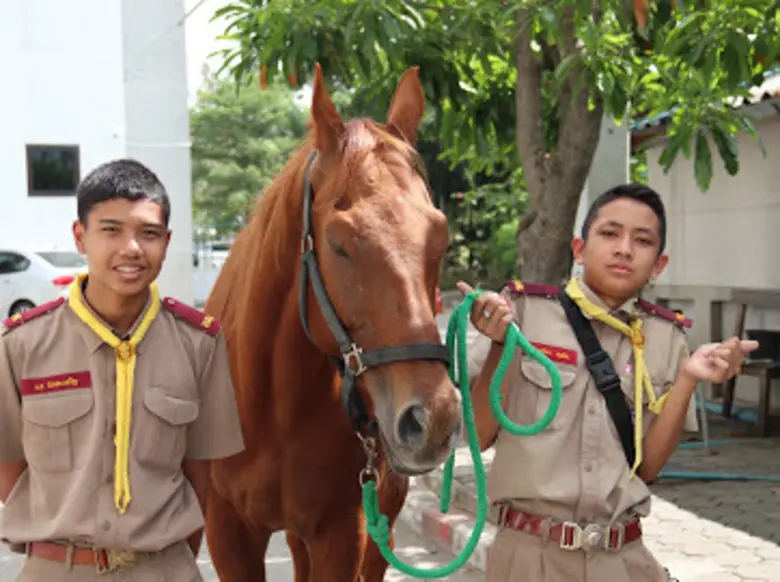 TSPCA ร่วมกับสำนักงานลูกเสือแห่งชาติ คณะสัตวแพทยศาสตร์ ม.มหิดล และสโมสรลูกเสือสวัสดิภาพสัตว์ จัดฝึกอบรมลูกเสือสวัสดิภาพสัตว์ เพื่อสวัสดิภาพคน One Day Camp
