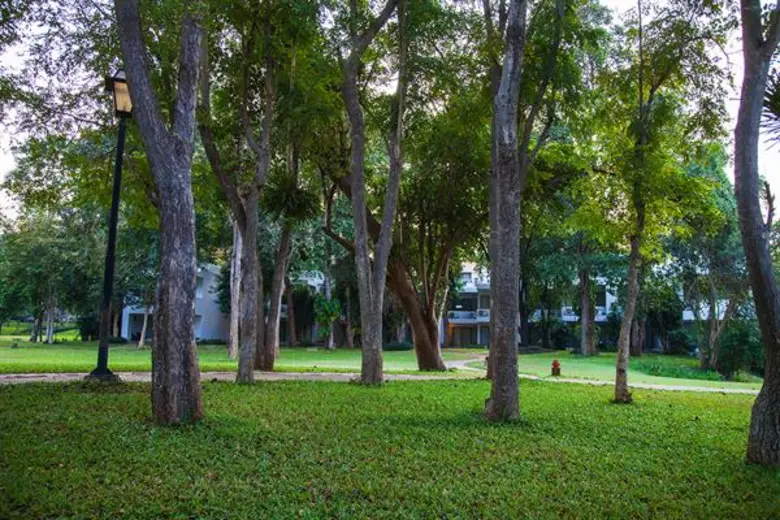 คำแสด ริเวอร์แคว รีสอร์ท “ลดปัญหาเรือนกระจก” สู่ธรรมชาติอุดมสมบูรณ์