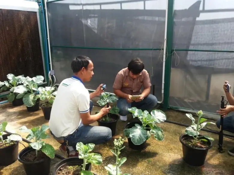 ผู้ช่วยศาสตราจารย์สู้ศึก ศิลป์จารุ อาจารย...