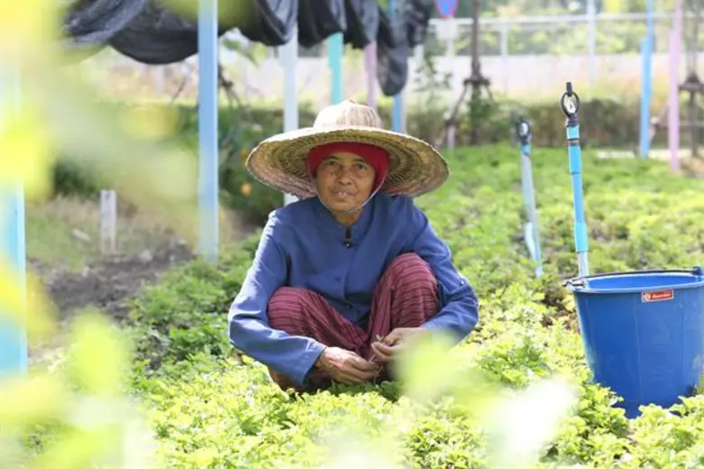 มหาวิทยาลัยมหิดล เปิดบ้านโชว์ผลสำเร็จโครง...